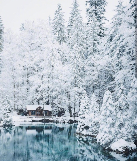 瑞士大雪风景图片 3