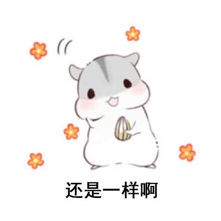 搞笑表情包头像集 有什么不开心的呢？都会好的