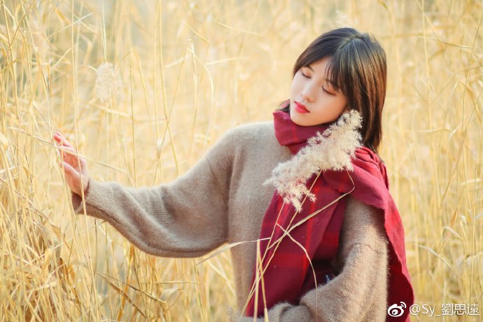 清纯美女图片雅欣秋日写真图片 3
