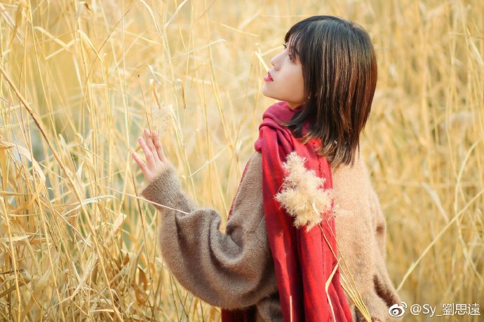 清纯美女图片雅欣秋日写真图片 5