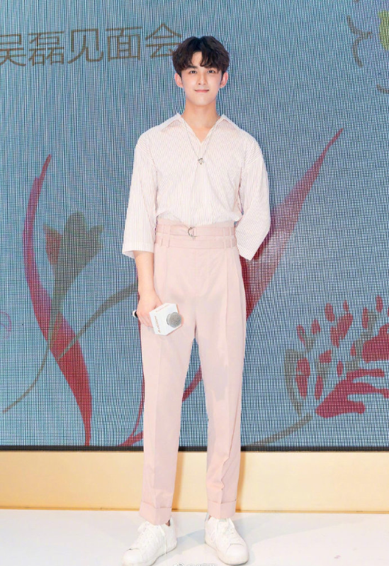 内地男演员三石弟弟吴磊图片 7