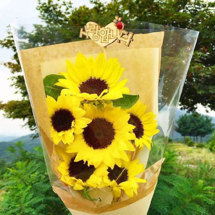 唯美鲜花花束向日葵图片
