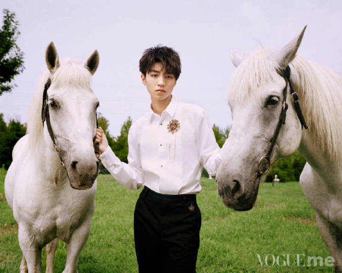 中国男团TFBOYS成员王俊凯白王子图片 8