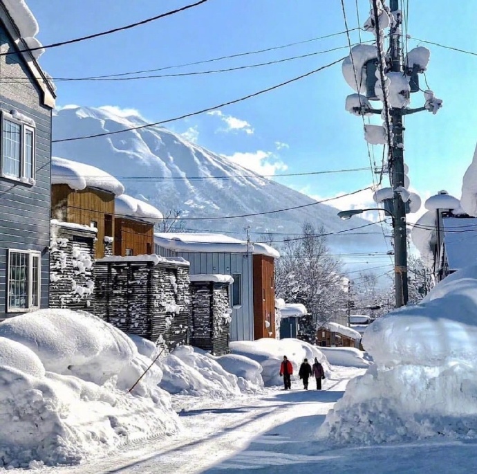 2018北海道雪景图片 4
