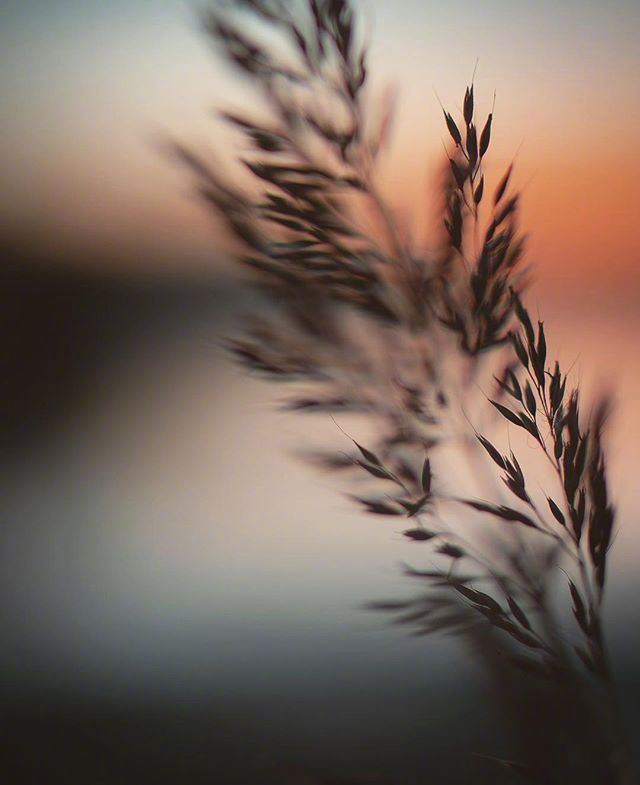 唯美梦幻图片 梦幻仙境图片 3