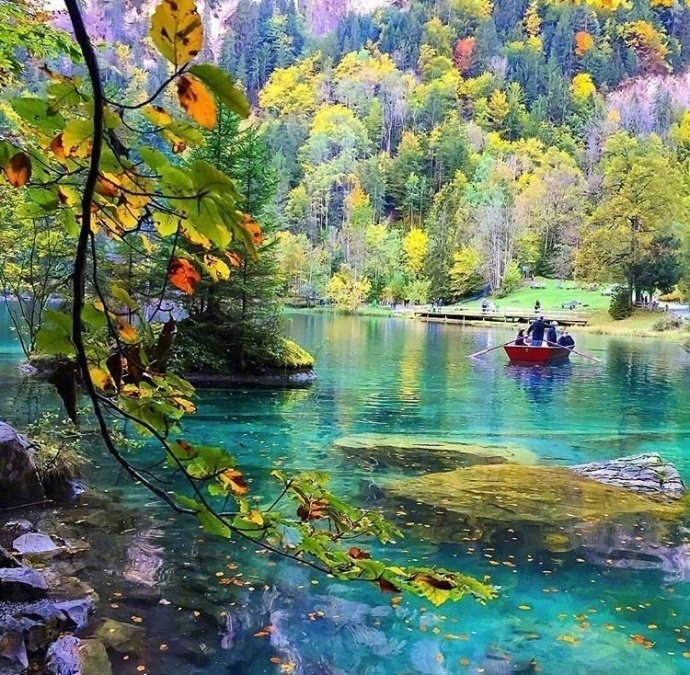 瑞士Blausee蓝湖风景图片 4