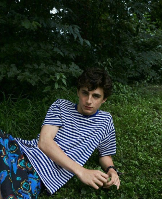 欧美男明星甜茶Timoth&eacute;e Chalamet图片