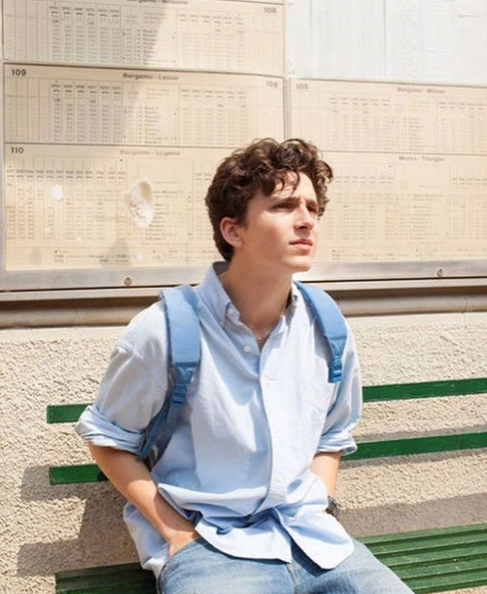 欧美男明星甜茶Timoth&eacute;e Chalamet图片 2