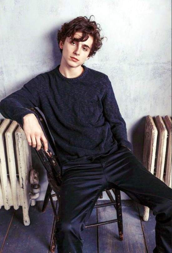 欧美男明星甜茶Timoth&eacute;e Chalamet图片 5