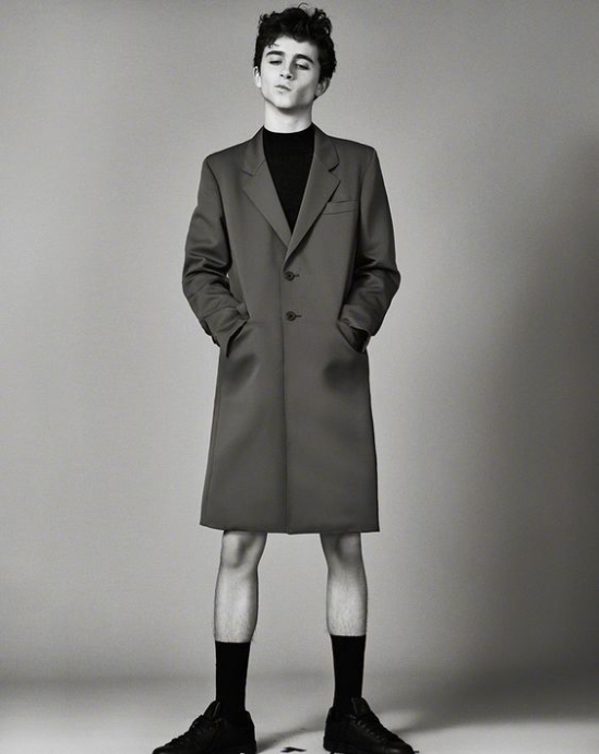 欧美男明星甜茶Timoth&eacute;e Chalamet图片