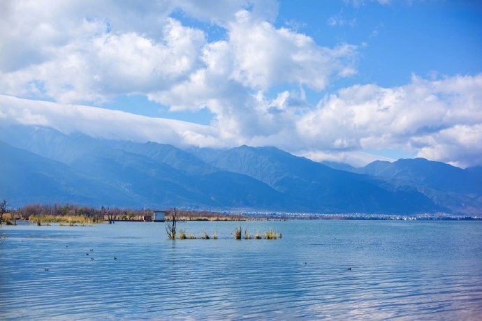 温暖而又纯粹的冬日洱海风景图片 2