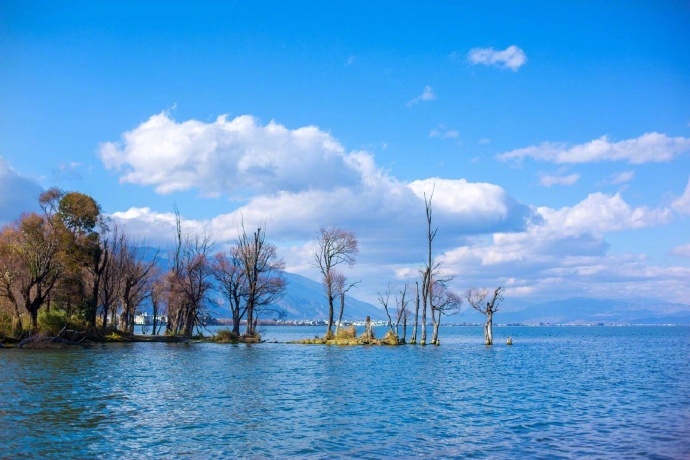 温暖而又纯粹的冬日洱海风景图片 3