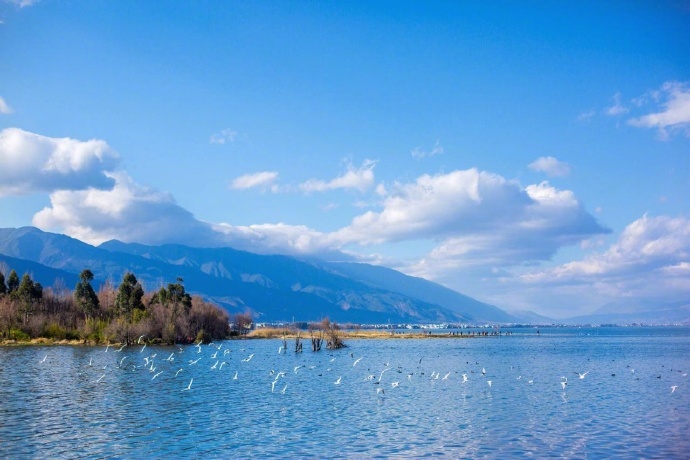 温暖而又纯粹的冬日洱海风景图片 5
