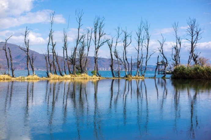 温暖而又纯粹的冬日洱海风景图片 7