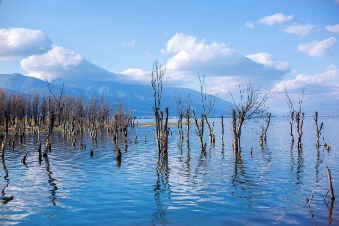 温暖而又纯粹的冬日洱海风景图片 9