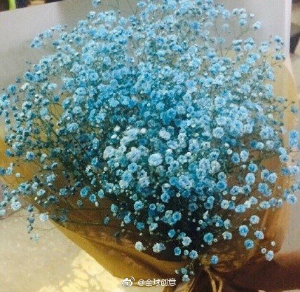 蓝色满天星图片