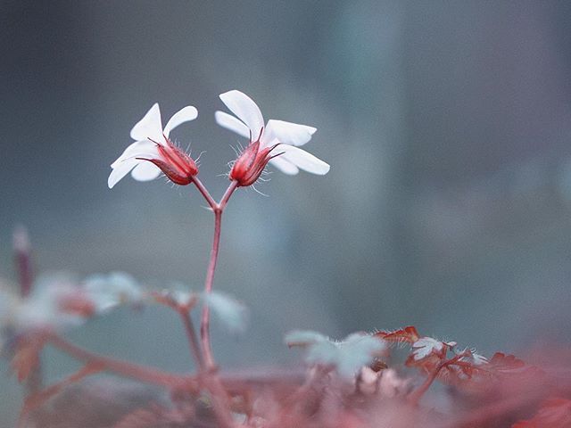 唯美意境图片 唯有当下的快乐与幸福 4