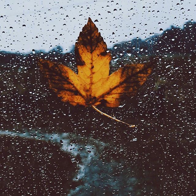 唯美意境图片 最尴尬的就是人家根本不把你当回 6