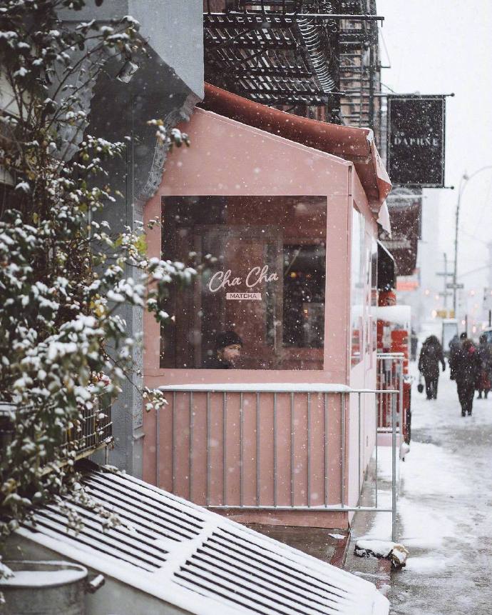 Laura Prado镜头中的雪中街景图片 7