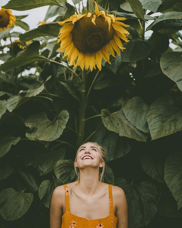 漫步在向日葵花园里的唯美美女图片 5