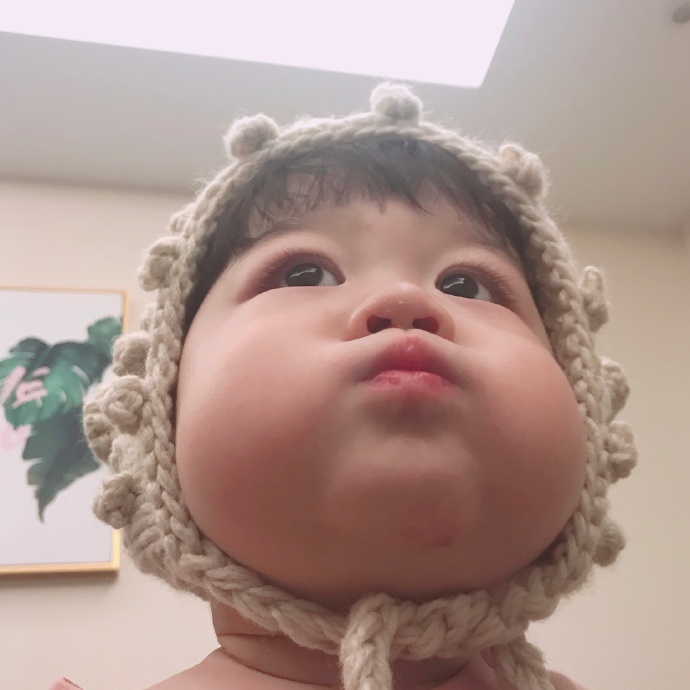 胖乎乎的小可爱头像图片