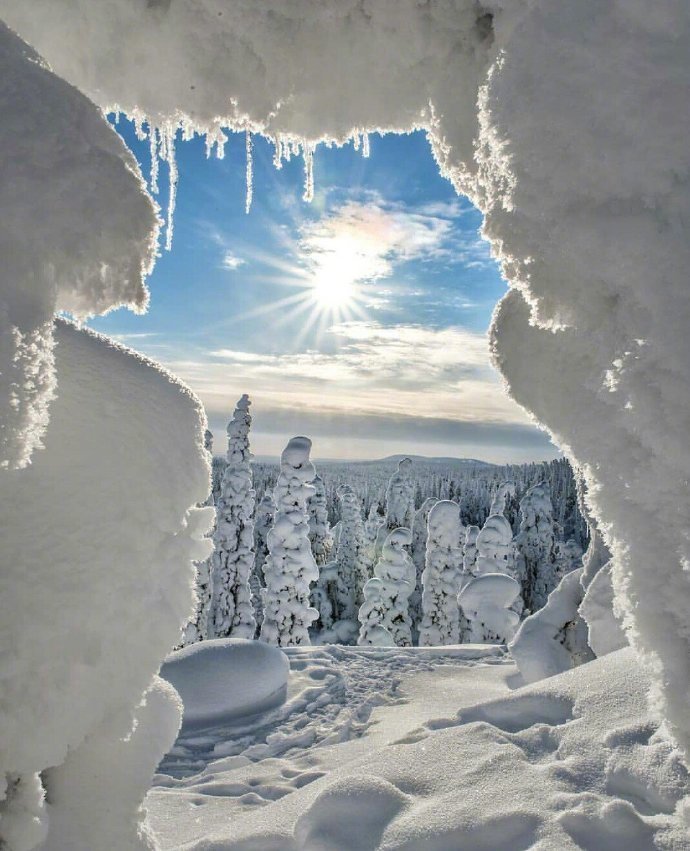 芬兰的雪中世界美景图片