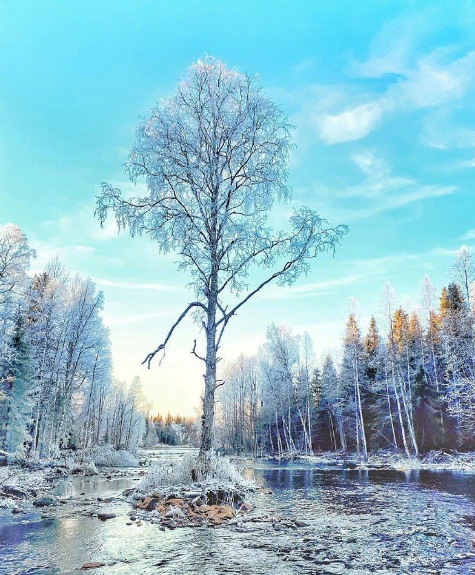 芬兰的雪中世界美景图片 2