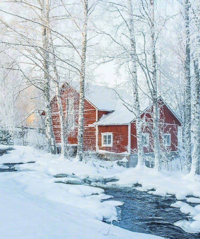 芬兰的雪中世界美景图片 7