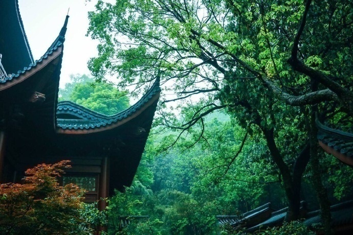 绿意盎然杭州灵隐寺美景图片 2