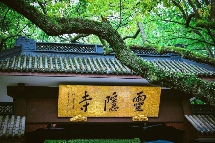 绿意盎然杭州灵隐寺美景图片 3