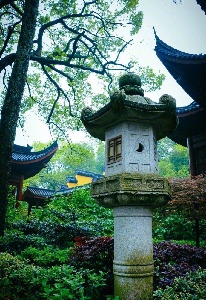绿意盎然杭州灵隐寺美景图片 6