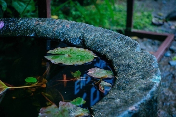 绿意盎然杭州灵隐寺美景图片