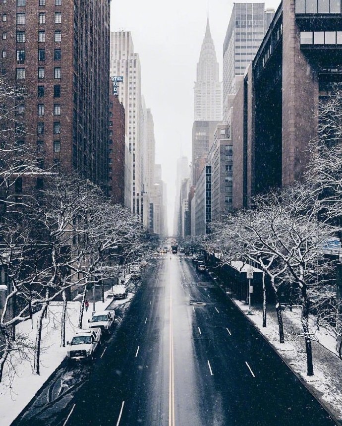 雪景图片大全 关于雪的图片 6