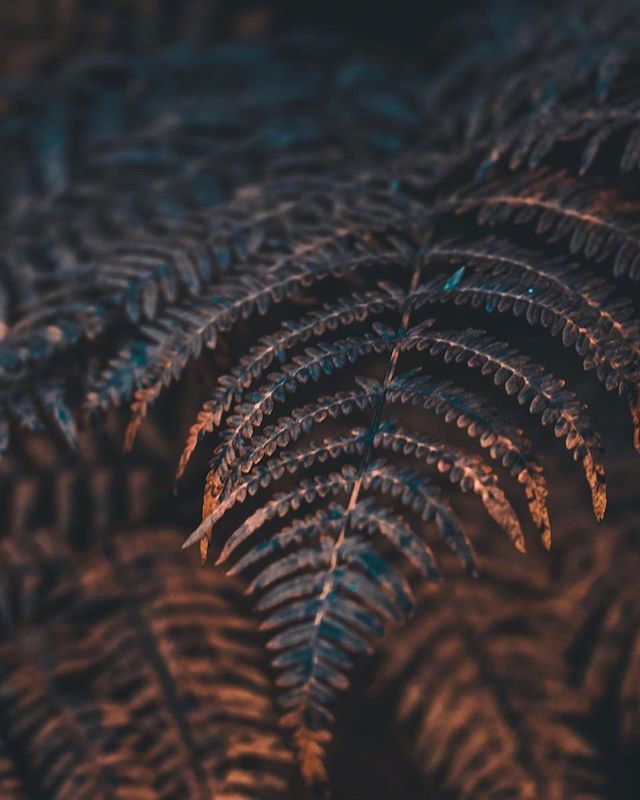 唯美意境图片 尽量体面的去获取你所要的东西然