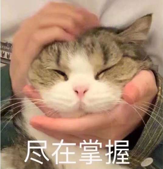 qq搞笑表情包图片 搞笑头像图片