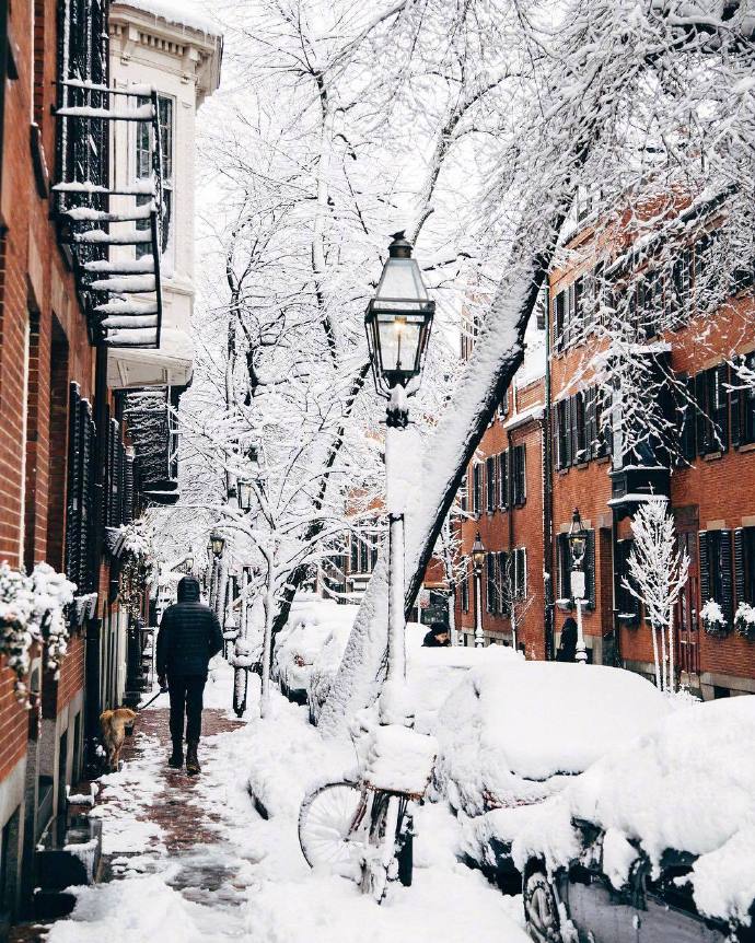 波士顿街头雪景风景图片 8