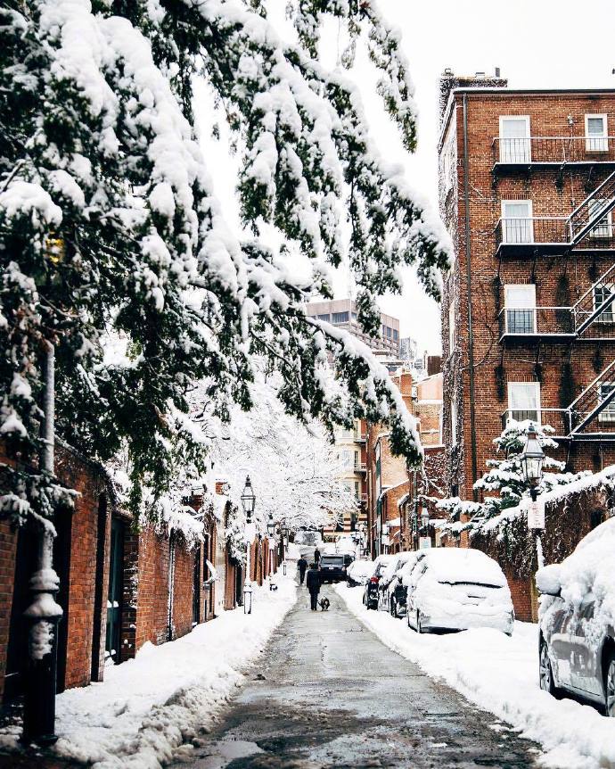 波士顿街头雪景风景图片 9