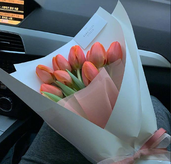唯美郁金香花语：爱的表白和永恒的祝福