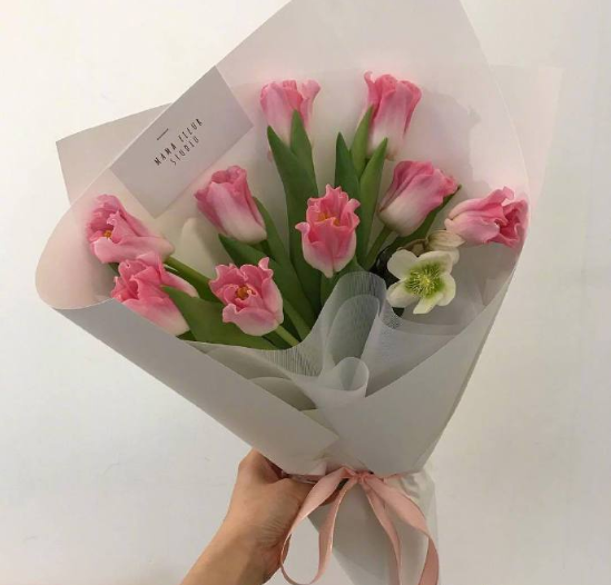 唯美郁金香花语：爱的表白和永恒的祝福 3