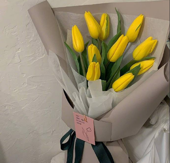 唯美郁金香花语：爱的表白和永恒的祝福 9