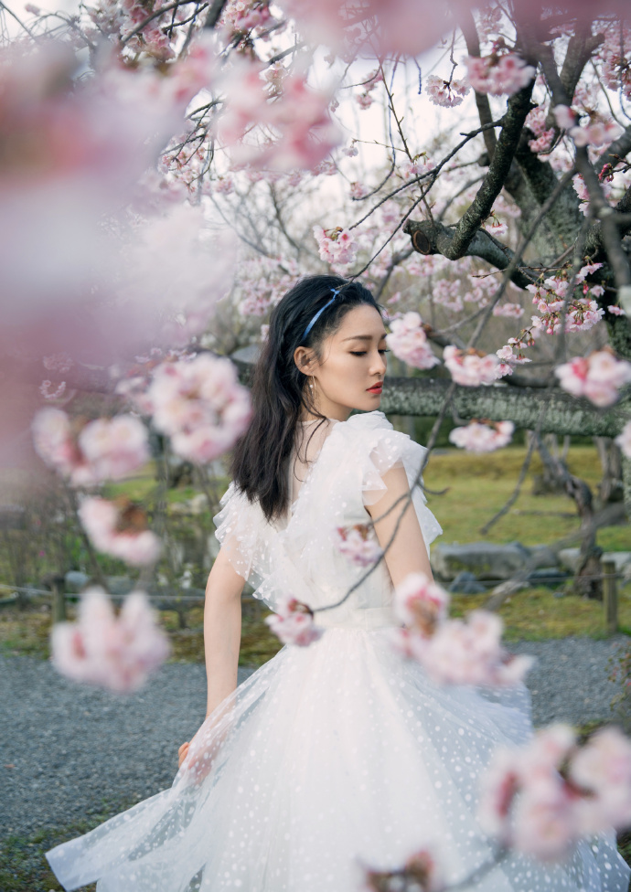 内地美女演员李沁与花树合影温婉可人图片 3