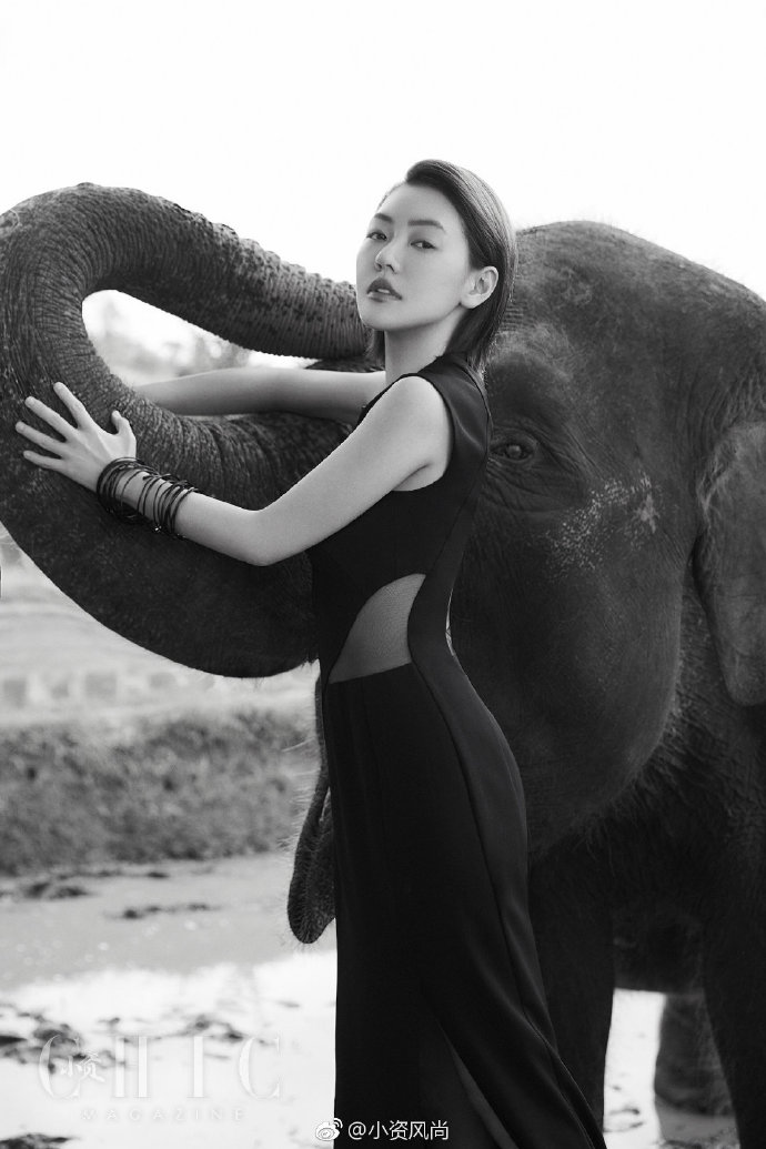 台湾美女明星小S徐熙娣#CHIC#小资风尚图片 4