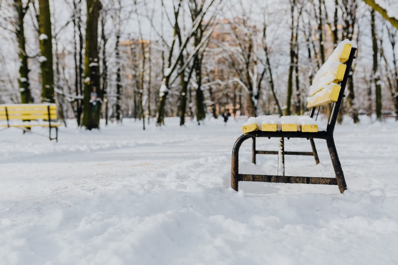 雪地里的公园风景图片