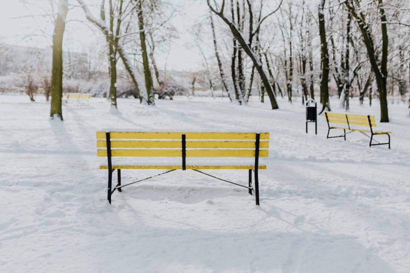雪地里的公园风景图片 6