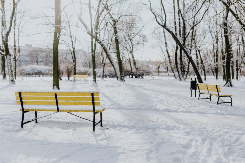 雪地里的公园风景图片 7