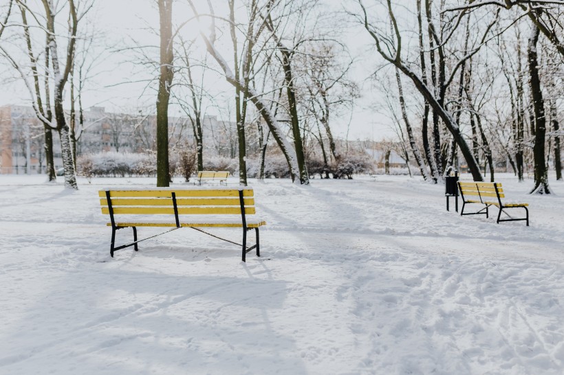 雪地里的公园风景图片 10