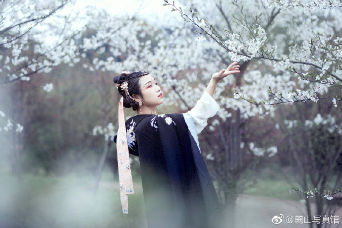 清纯美女樱花树下古装写真图片 2