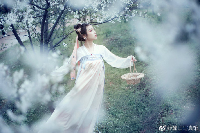 清纯美女樱花树下古装写真图片 3