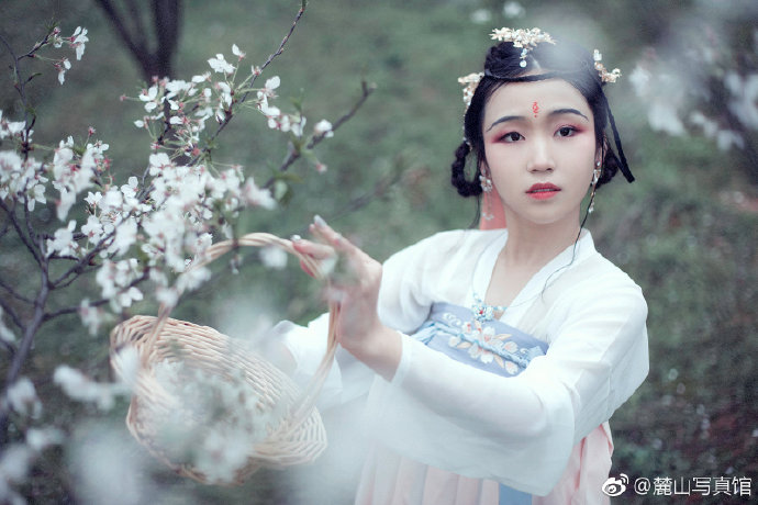 清纯美女樱花树下古装写真图片 4