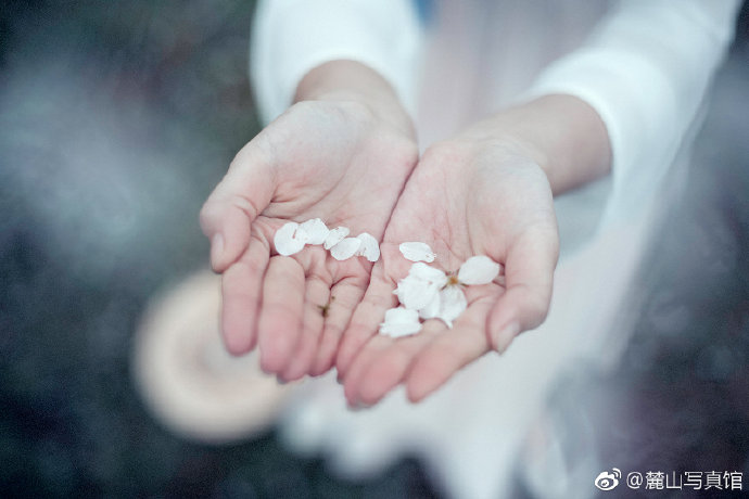 清纯美女樱花树下古装写真图片 6